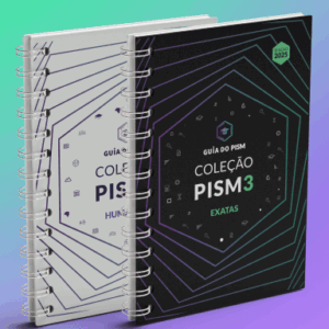 PISM 2 2025